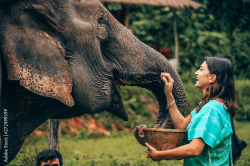 Girl having fun with elephants at Patara Elephant Farm, Chiang Mai, Thailand