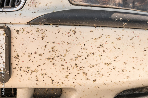 Close-up of car front bumper with many smashed insects. High speed drive
