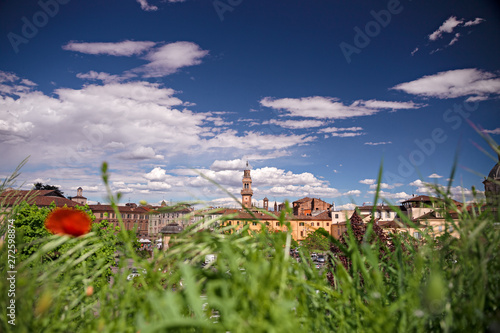 Red poppies blooming in a meadow, in the background the town of Casale Monferrato in Italy.