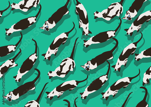 Siamese Cat Seamless Pattern Dense Green Wallpaper