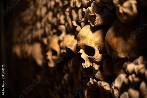 Skulls of the catacombs