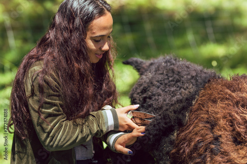 Young mixed race woman shears sheep wool on a farm