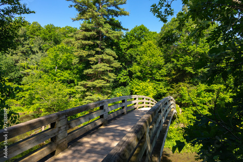 Bridge in Starved Rock