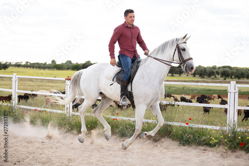 Young guy in casual outfit riding white horse on sandy ground