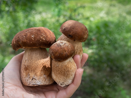 Boletus mushroom in female hand at the forest background.
