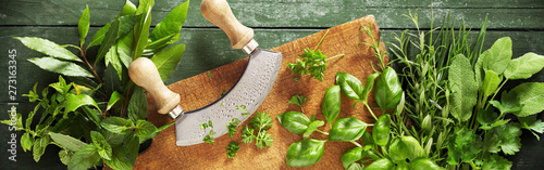 Panorama banner of a mezzaluna knife and herbs