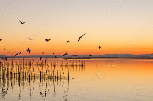  Parque natural de la Albufera en Valencia (España)