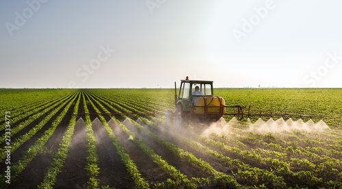 Tractor spraying soybean field