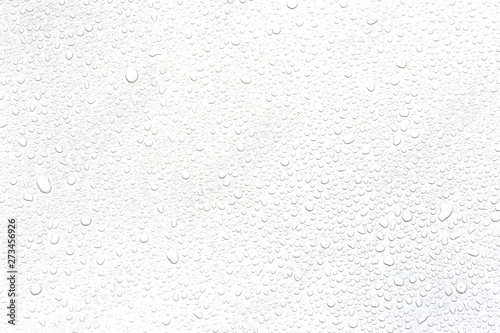 Water rain drops isolated on white background.