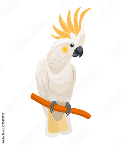 vector,trendy,stylized,nature,zoo,banner,animal,art,bird,card,cartoon,character,cockatoo,cute,design,exotic,funny,graphic,greeting,holiday,icon,illustration,isolated,parrot,summer,tropical,white backg