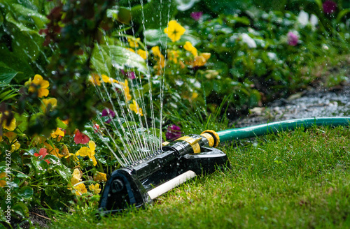 Water sprinkler is working in garden