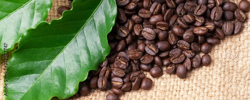 roasted coffee bean on linin sack