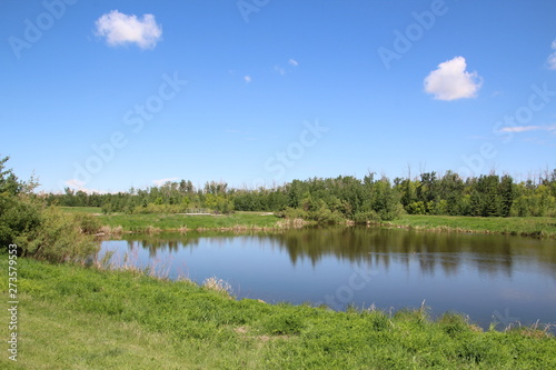 Green By The Pond, Pylypow Wetlands, Edmonton, Alberta