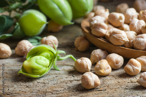 Uncooked dried chickpeas in wooden spoon with raw green chickpea pod plant on wooden table. Heap of legume chickpea background