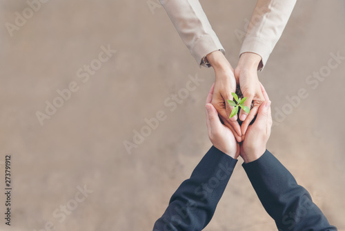 Sustainable Collaboration Green Ecology Business Company. Trust Partners Team Welcome hands holding green plant together. Hands Stacked of Partners with Green Sustainable Develop Business Concept.