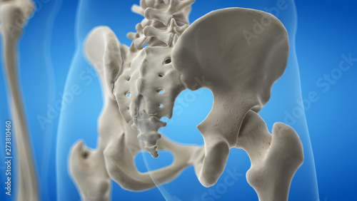 3d rendered medically accurate illustration of the sacrum