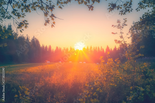 Summer night sunset view from Sotkamo, Finland.