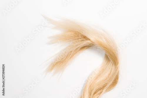 Blond natural hair extensions isolated on white background. Clip