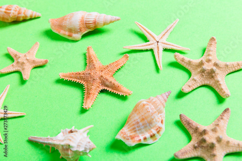 lot of seashells and many starfish on green background