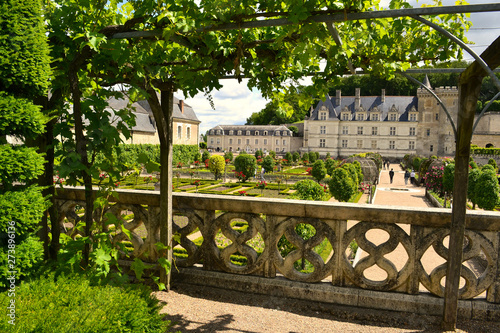 A l'ombre d'une pergola, chateau de Villandry époque renaissance, région val de loire.