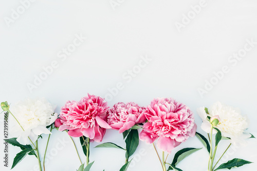 Frame of flowers peonies