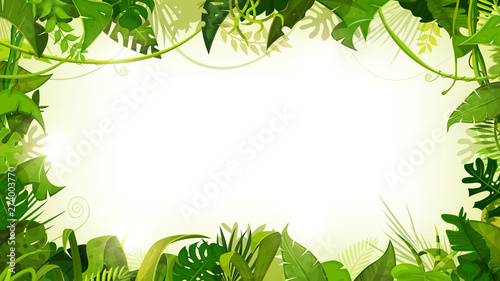 Jungle Tropical Landscape Wide Background/ Illustration of a jungle landscape background, with ornaments made with leaves and foliage of tropical plants and trees