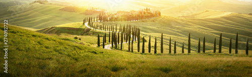 Włoski krajobraz z krętą drogą z drzewami cyprysowymi o zachodzie słońca