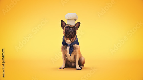 dog chef cook. 3d rendering