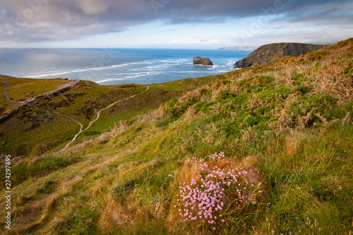 Tintagel 