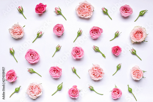 Flower pattern: flowers and rosebuds on a white background. Top view