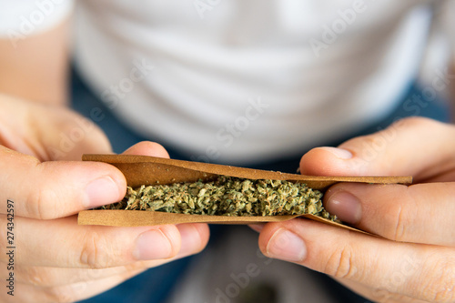 Close up of Man rolling a cannabis blunt on white background. Man preparing and rolling marijuana cannabis blunt.