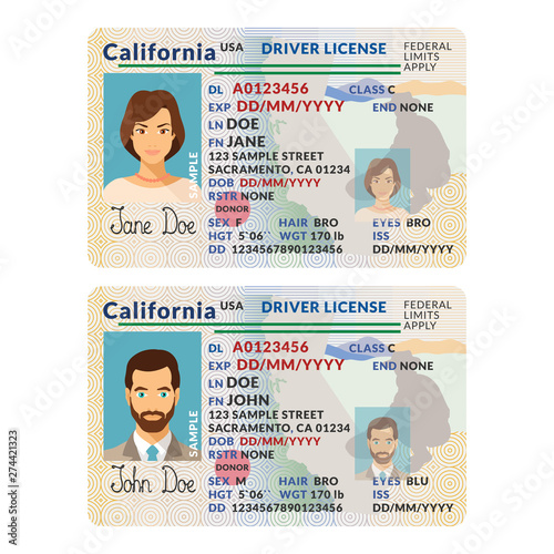 Vector template of sample driver license plastic card for USA California