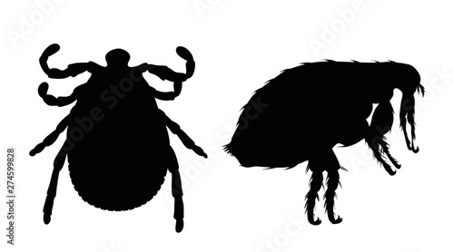 Vector silhouette of flea and tick on a white background. Symbol of parasites.