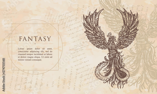 Fantasy. Magic phoenix birds. Symbol of revival, regeneration, life and death. Renaissance background. Medieval manuscript, engraving art