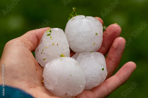 Huge hailstones after a severe thunderstorm in the hand of a young woman.