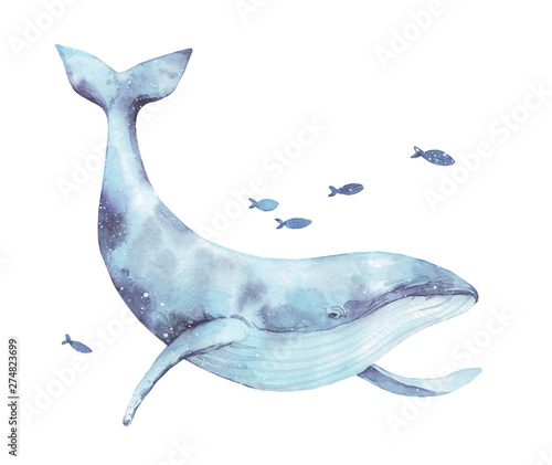 Blue whale watercolor illustration isolated on white. Big wild underwater animal beautiful blue violet white watercolor whale ballena painting. Mammal marine or oceanic water animal swimming.
