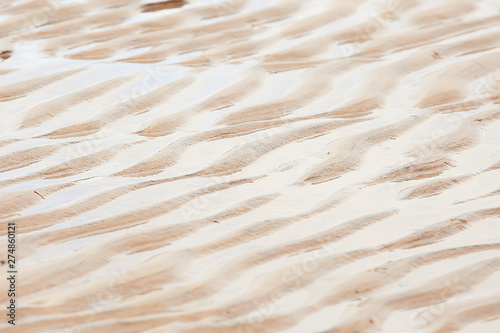 background sand desert / abstract empty background, texture desert sand, waves on, sand dunes