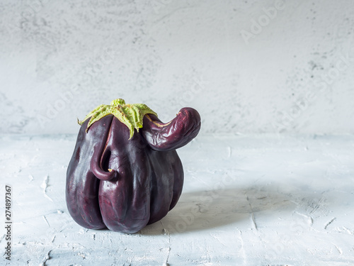 Trendy ugly organic eggplant 