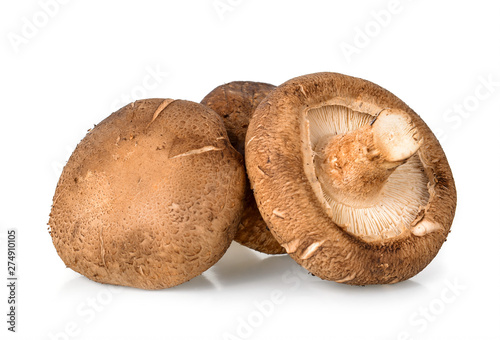 Shiitake Mushrooms on white background