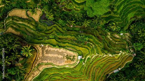 Amazing Landscape Above Rice Terraces