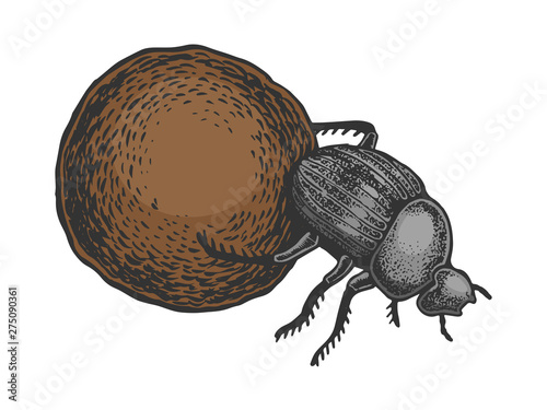 Dor beetle bug insect animal color sketch engraving vector illustration. Scratch board style imitation. Black and white hand drawn image.
