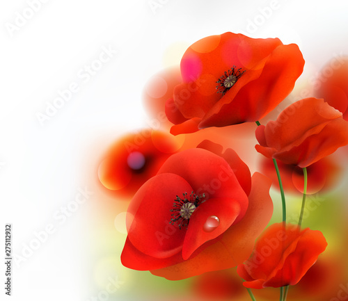 Red Poppy flower background. Vector illustration