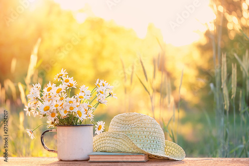 beautiful daisies in white cup, book, braided hat in summer garden. Rural landscape natural background with Chamomile flowers in sunlight. Summer time. copy space