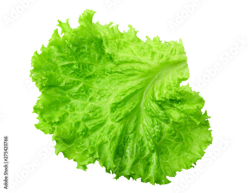 one salad leaf isolated on a white background