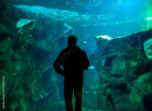 A man near Sharks area in Aquarium de La Rochelle, France