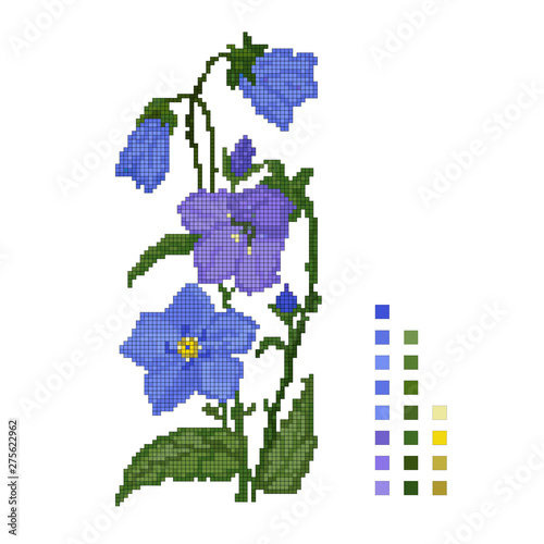 Cross-stitched flower of the bell on a white background, the scheme. Vector