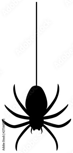 Spider hanging on spider webs thread silhouette. Vector illustration.