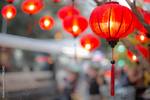 Beautiful traditional lanterns hanging from a tree during Chinese lunar new year.