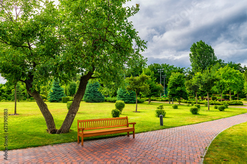 Beautiful sunny park with bench.