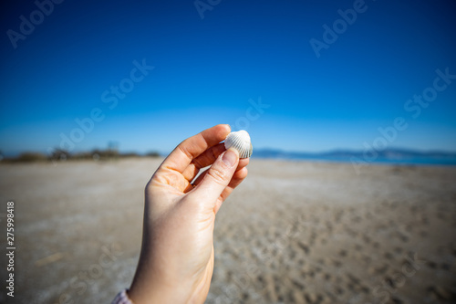 Woman hand holding a sea shell with blurred beacon on the background